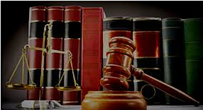 Law & Justice Studies